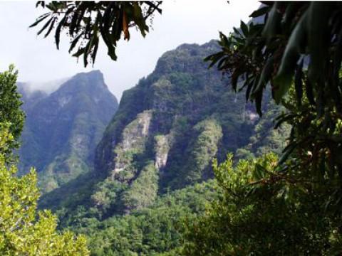 Madeira