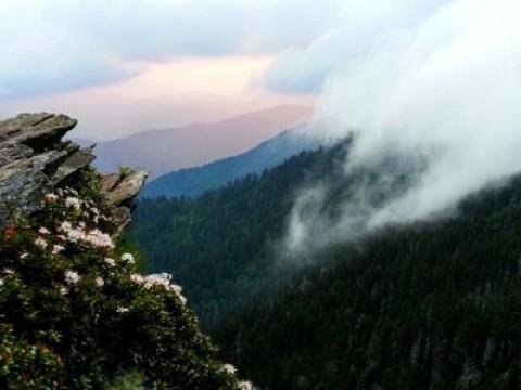 Great Smoky Mountains