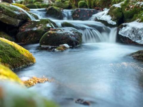 The Creek