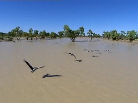 Lake Eyre - Australia's Outback Wonder