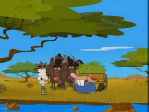 Slow Gnus Day