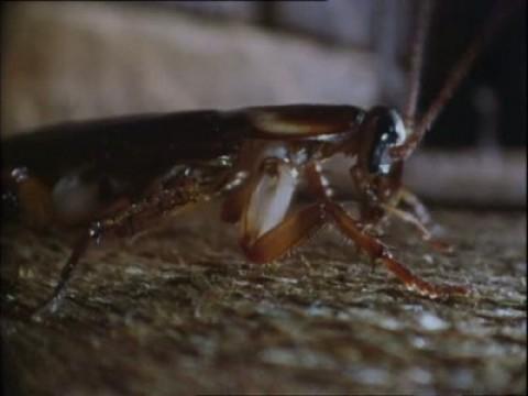 War of the Worlds