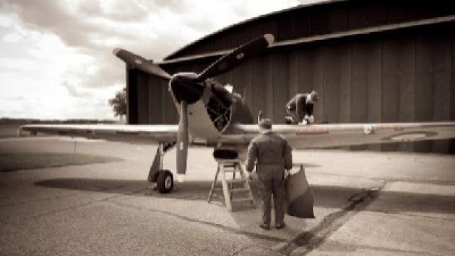 The Untold Battle of Britain
