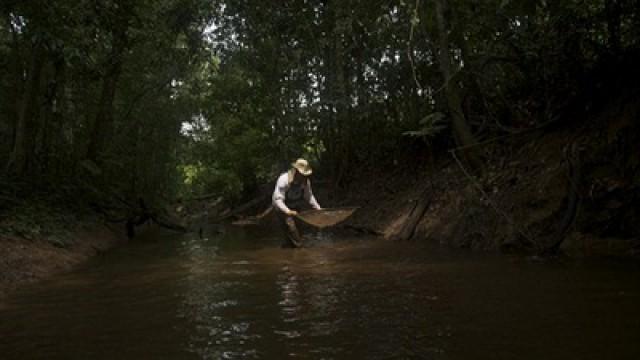 Die Riesenfische des Amazonas (Raging Amazon)