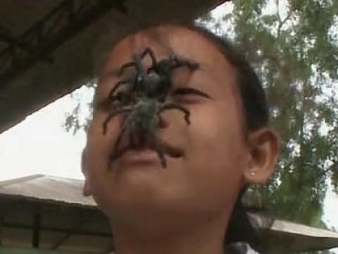 Spider Eaters, Kung Fu Monks, and Vampire Bats