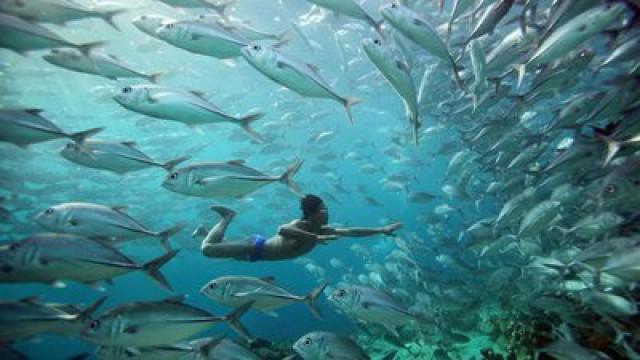 Oceanos