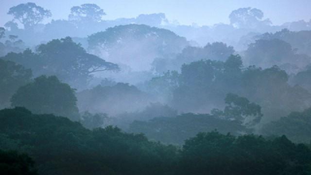 Ecuador's Oil Gamble