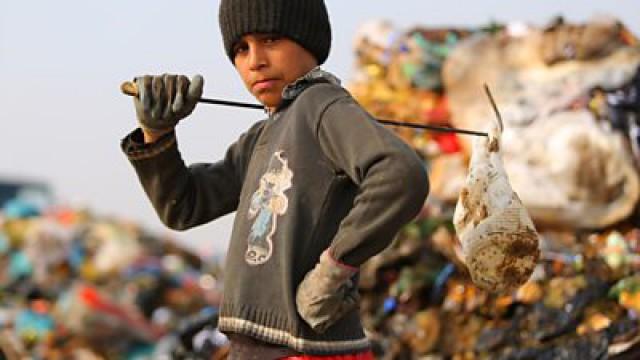 Life on the Rubbish Dump