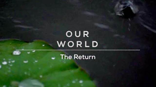 The Return
