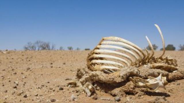 Australia's Water Wars