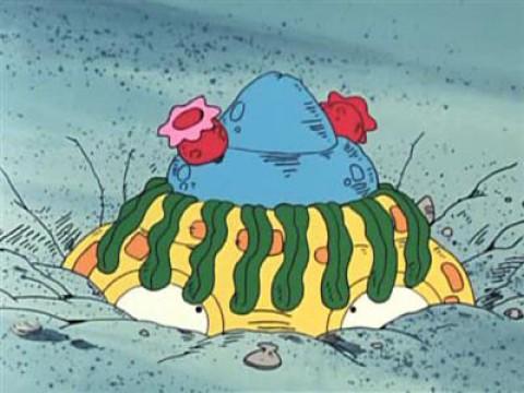 L'uomo conchiglia