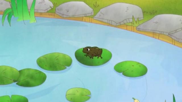 The Frog Pond