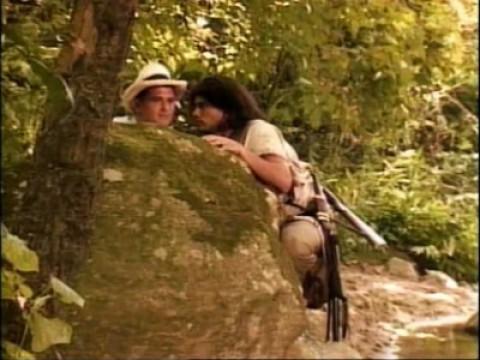 Los novillos de la disputa