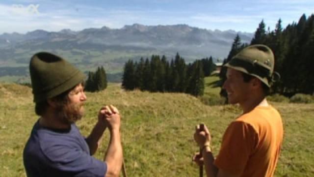 Was geht auf der Alpe ab?