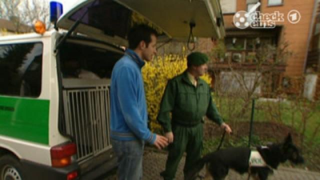 Wer kommt Verbrechern auf die Spur?