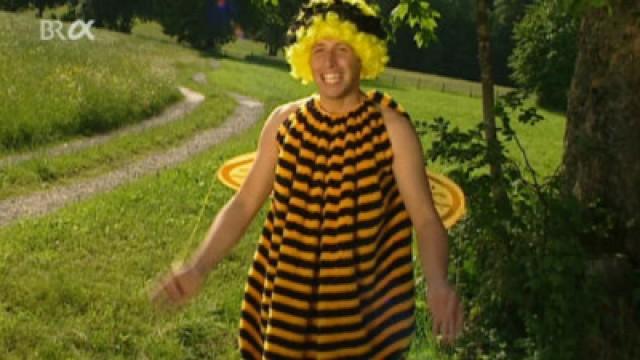 Wovon schwärmt der Bienenschwarm?
