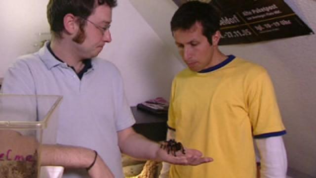 Wer kuschelt mit den Krabbeltieren?