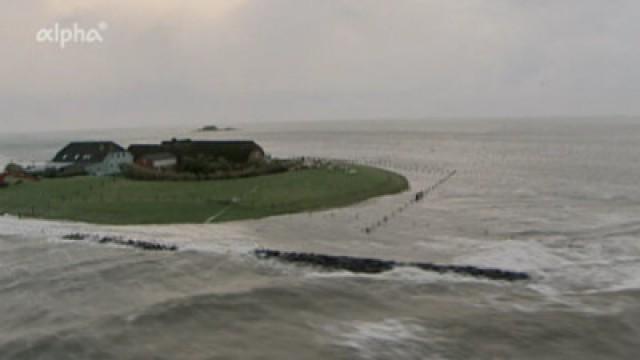 Wer weiß mehr übers Wattenmeer?