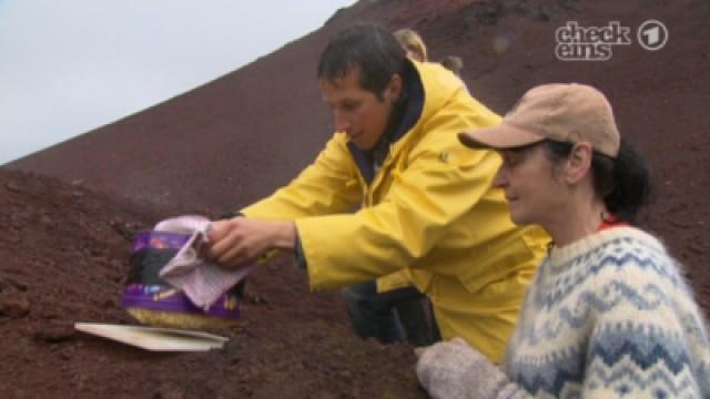 Expedition Island: Die Hitze der Erde!