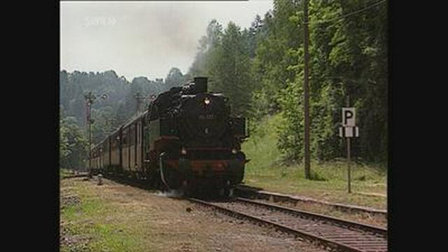 Museumsbahnen - Ausflüge mit dem Dampfross