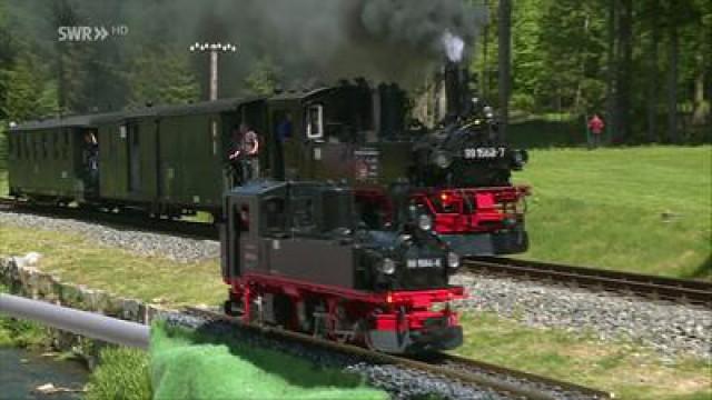 50 Jahre LGB