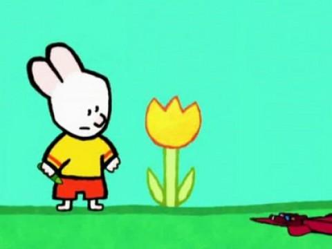 une fleur