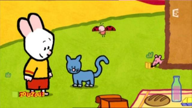 un chat