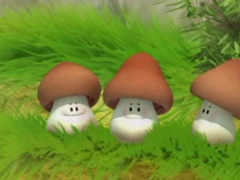 Champignons fripons !