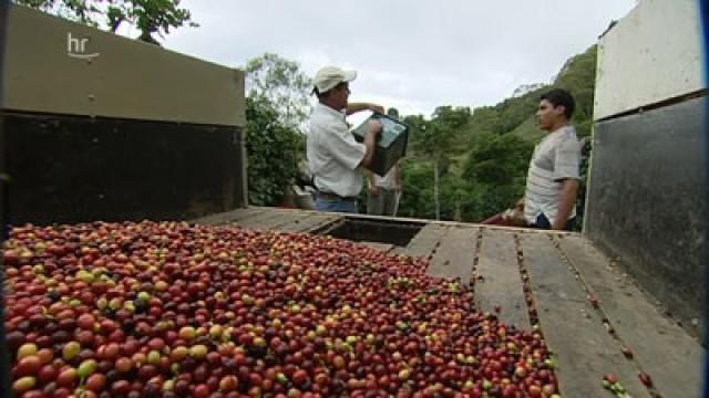 Costa Rica – Land zwischen Pazifik und Karibik