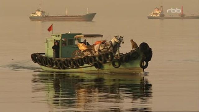 Bosporus – Istanbuls Lebensader