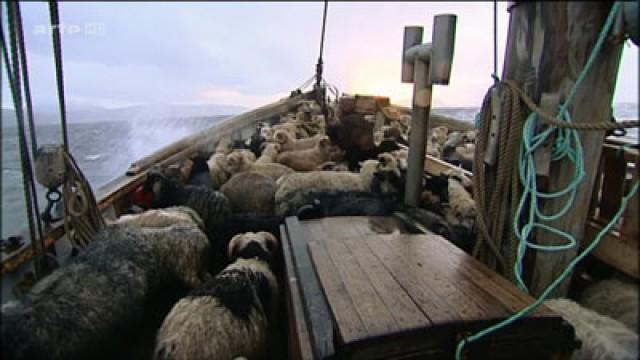 Färöer – die wilden Inseln