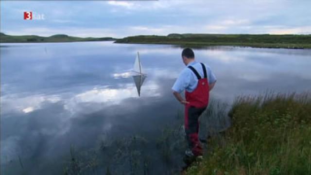 An der Irischen See – Von Dublin nach Norden