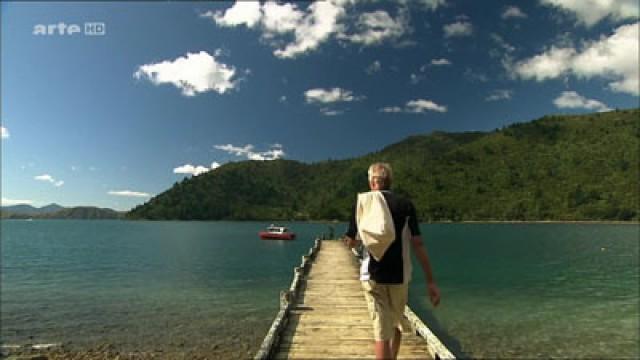Sommer in Neuseeland – Die Marlborough Sounds