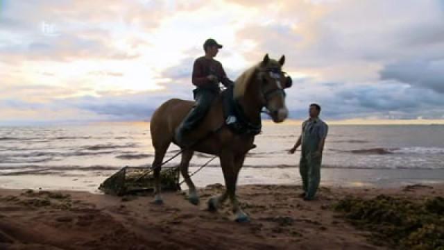Kanadas Garten im Golf – Prince Edward Islands