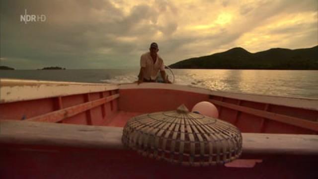 Die Karibikinsel Guadeloupe