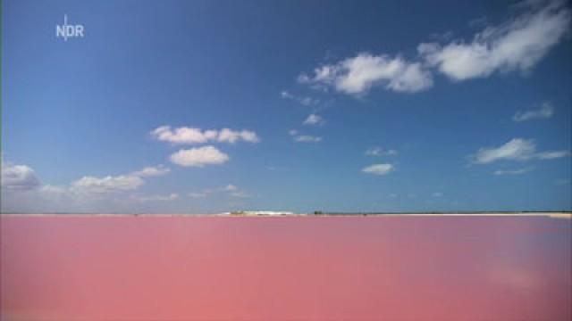 Mexikos Karibik-Küste – Yucatán und die Riviera Maya