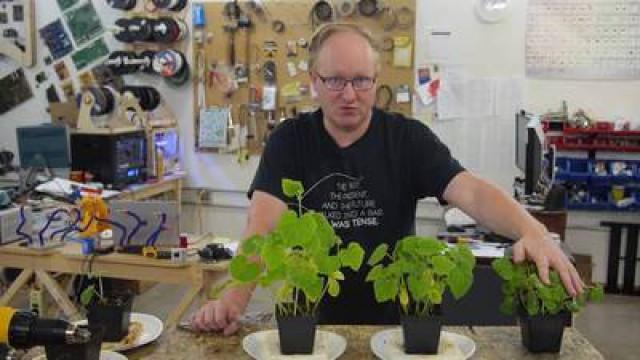 TI Plant Booster Update