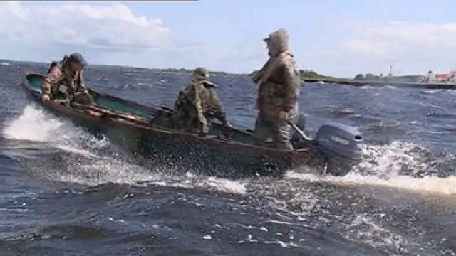 Ireland - Carp