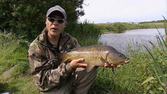 Anglesey - Carp