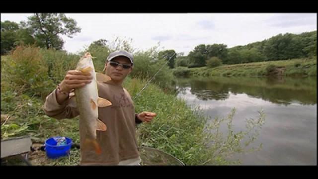 Shropshire - Barbel and Chub