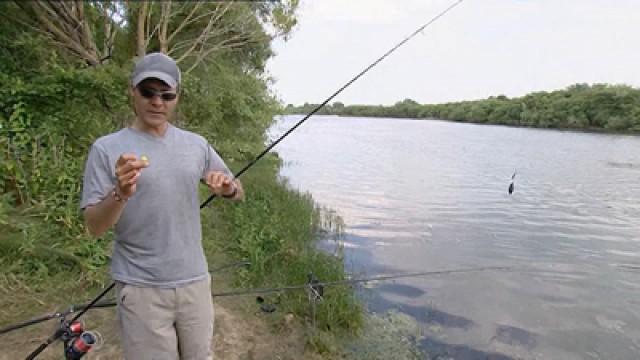 Northamptonshire - Carp