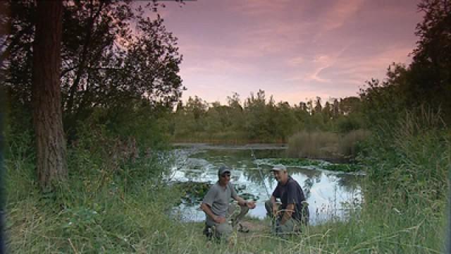 Peterborough - Carp, Rudd and Roach
