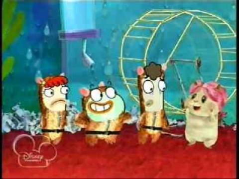 Pamela Hamster Returns
