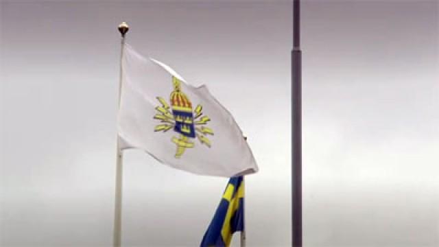 Sveriges öga och öra