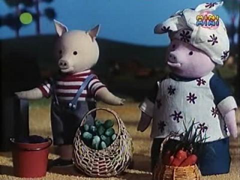 Zapasy na zimę