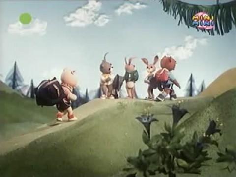Skrót