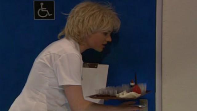 De Stagiaire
