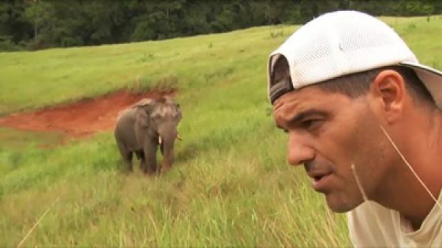 Supervivencia en la selva