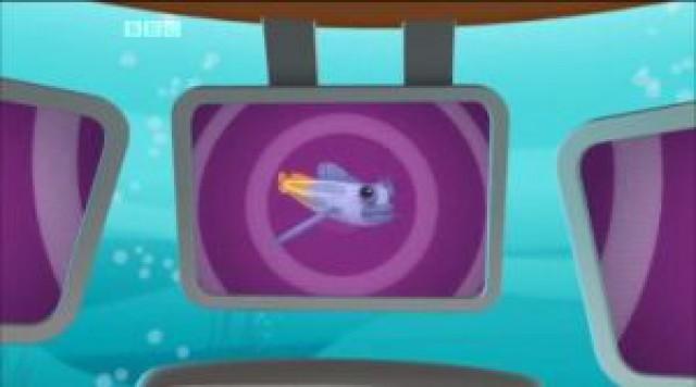 Creature Reports: The Combtooth Blenny