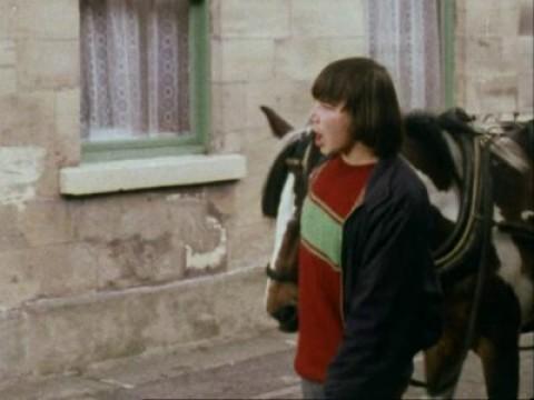 The Charity Horse